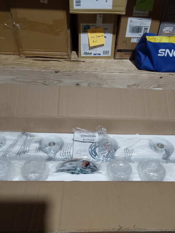 Mount Belfield 4 Globe light fixture