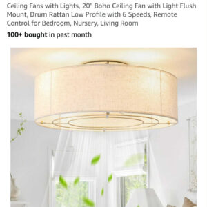 24 20" Boho Ceiling Fan with Light Flush Mount Drum Rattan