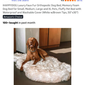 48 Orthopedic Dog Bed